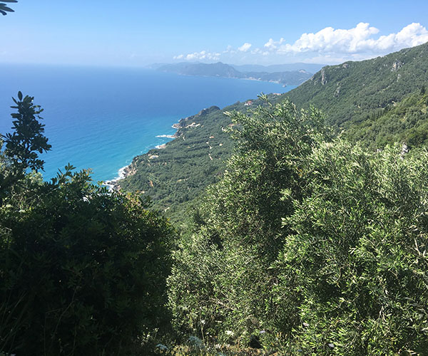 Guided hikes along the trail