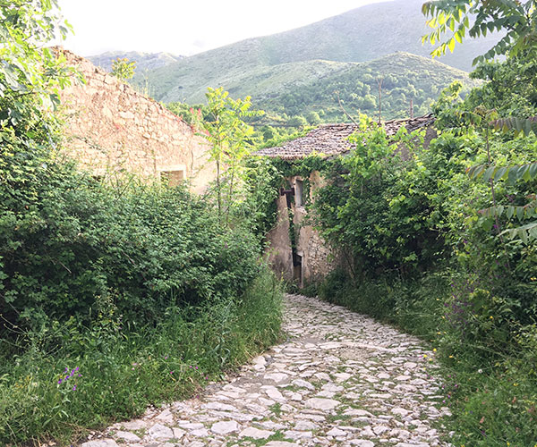 Kaminaki to Agios Spiridon